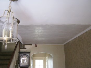 Plastering
                  ceiling in Virginia