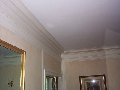 view of the plaster