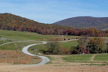 The leaves changed color late.