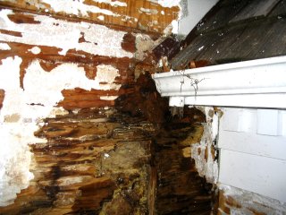 extensive rot found under the EIFS