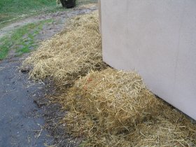Hay is
              spread around the house